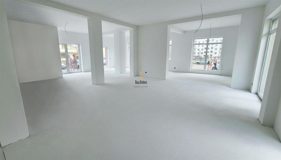 Spatiu Comercial - 300 mp - Doamna Stanca