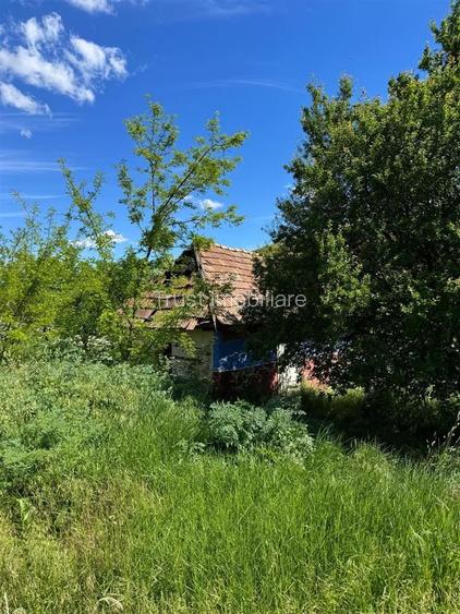 Casa de vanzare l Straja l Teren + Casa 1000 MP l Extravilan 8396 MP