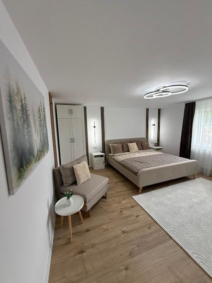 Casă complet renovată, mobilată și utilată, cu teren de 7.400 mp – Ruda-Brad,