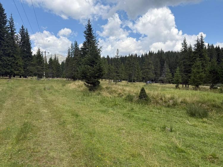 Teren Intravilan cu PUZ in zona Padina/Pestera