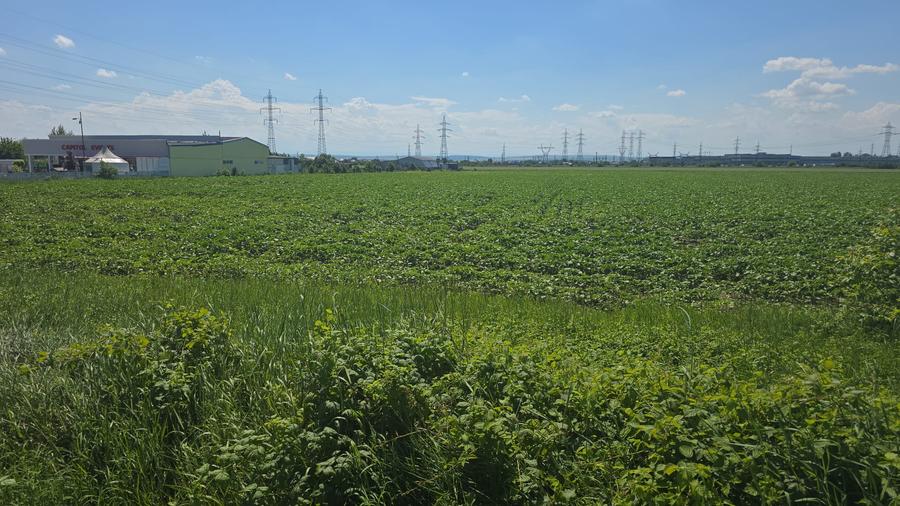 Teren intravilan pentru dezvoltare industrială/logistică – Roman | lângă Dedeman