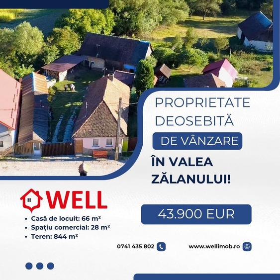 Proprietate deosebită de vânzare în Valea Zălanului!