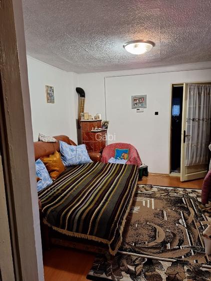 Casa  si curte, un singur nivel - 8