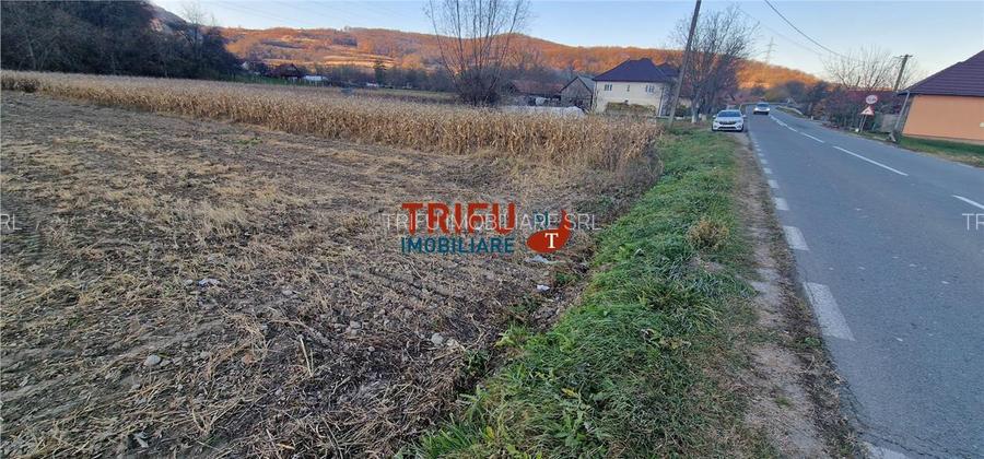 Teren Intravilan în Ampoița 1000mp - 6