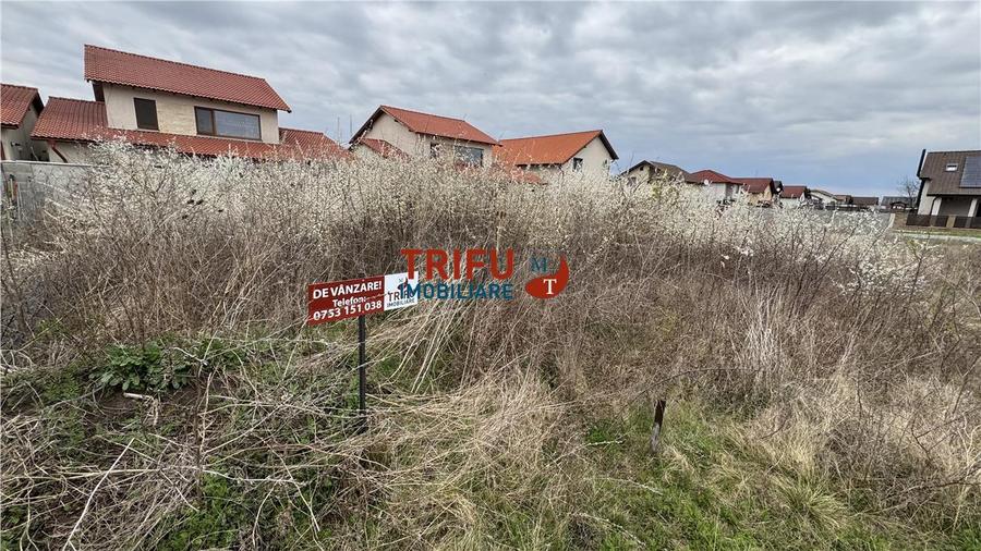 Teren de vanzare 500mp Alba Micesti