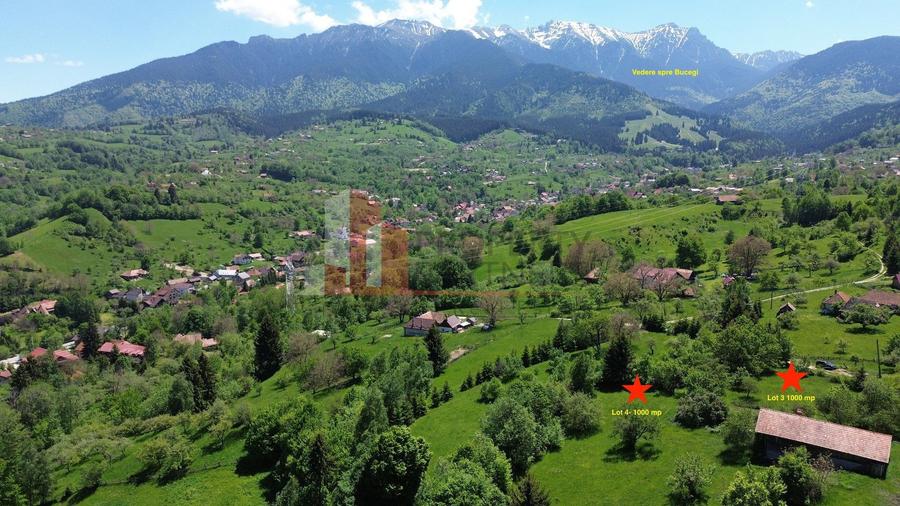 Loturi de teren 1.000 mp | Poarta – Bran | Vedere panoramică către Munții Bucegi