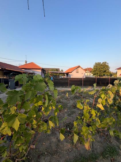 Casa de vanzare, 80 mp, teren 2330 mp, zona Arginesti