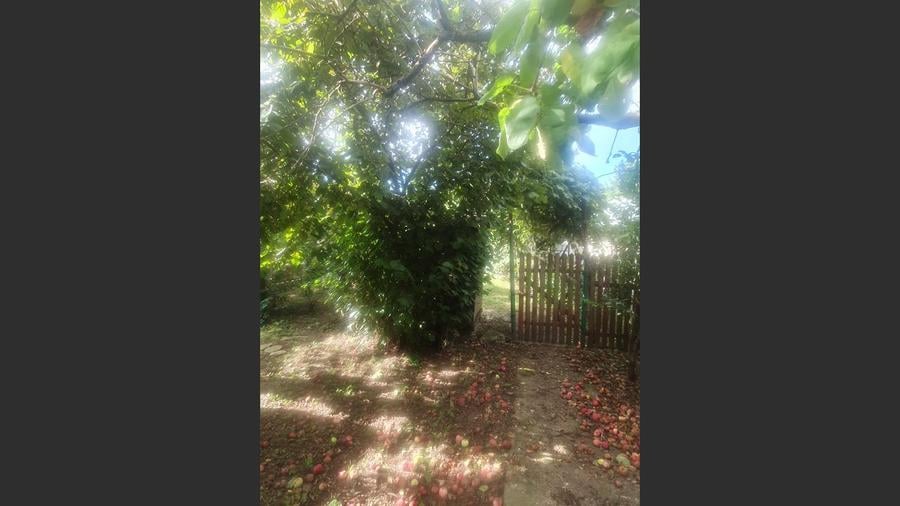 Casa Baicoi zona Schela