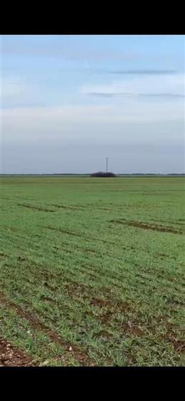 RECO Teren extravilan, zona Industriala in Livada de Bihor