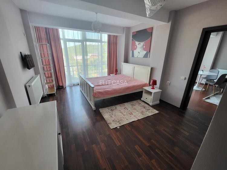 Apartament cu 2 camere, PET FRIENDLY, LOC PARCARE, zona Bucium - HOTEL PLEIADA - 11