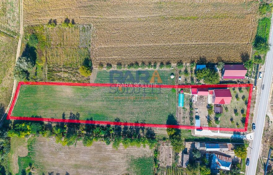Gospodărie, casă nouă (2024), 170 mp, 6.300 mp intravilan, 0% comision - 25