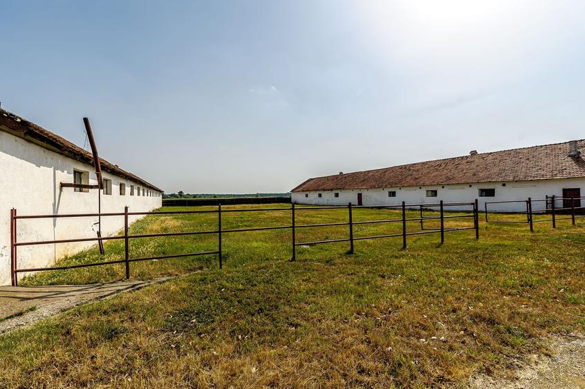 Fermă Mândruloc 2,5 ha