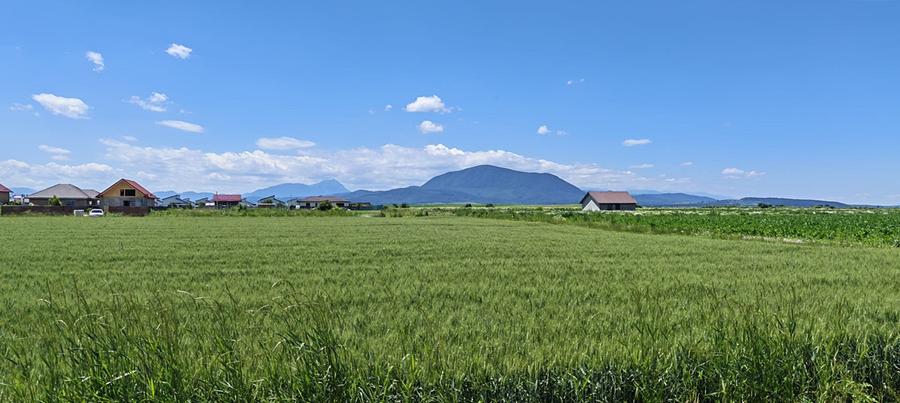 Loturi de casă în Hălchiu - Brașov.