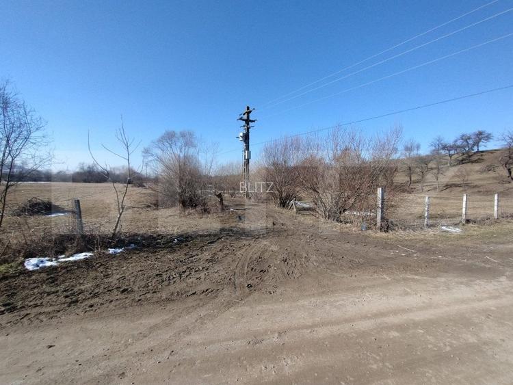 Teren extravilan de vanzare, 25 ari, zona Rusul Bargaului - 4