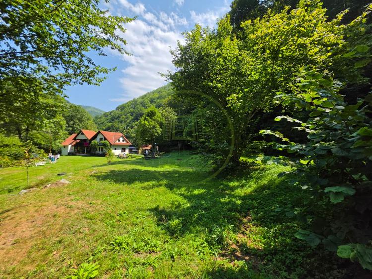 PROPRIETATE EXTRAORDINARĂ– LOTRIOARA, JUDEȚUL SIBIU!