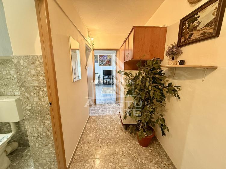 Apartament 1 camera de vanzare, zona Lunei, Timisoara - 10