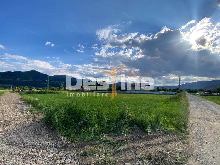 Teren de vanzare Alexandru cel Bun 20.000 Euro 735mp - 2