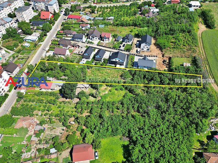 Teren pentru vile in centrul orasului Costesti, 3000 mp - 6