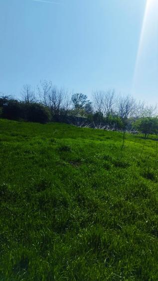 Teren intravilan de vânzare – Grădiștea, Ilfov, Aleea Primăriei