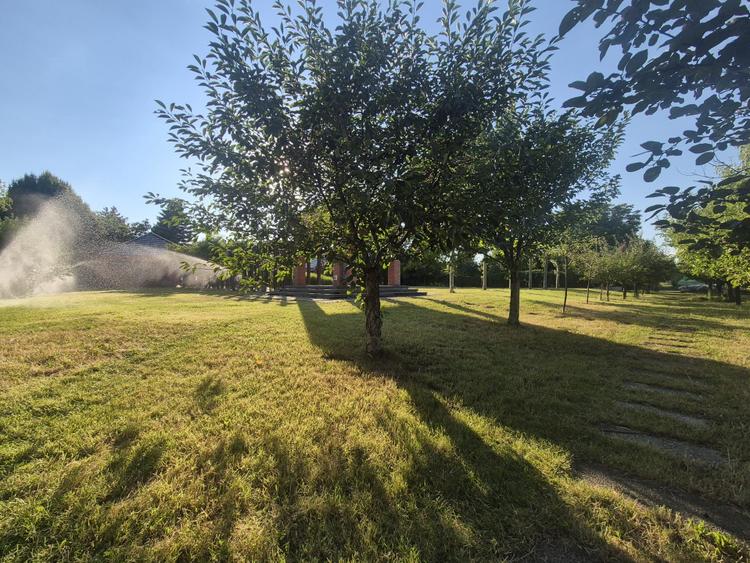 Proprietate exclusivistă cu 7.000 mp teren, piscină și multiple spații adiacente