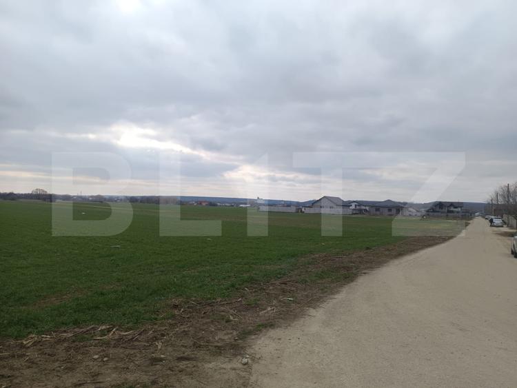 Teren 7.200 mp cu toate utilitățile la front asfaltat, Măn. Jitianu, Braniște