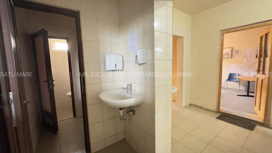 Clădire Industrială Hală Producție, Depozitare, Birouri-Teren 3140 mp - Carei - 17