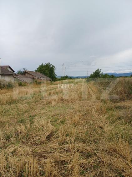 Teren intravilan 6000 mp cu 2 fronturi, parcelabil - 7