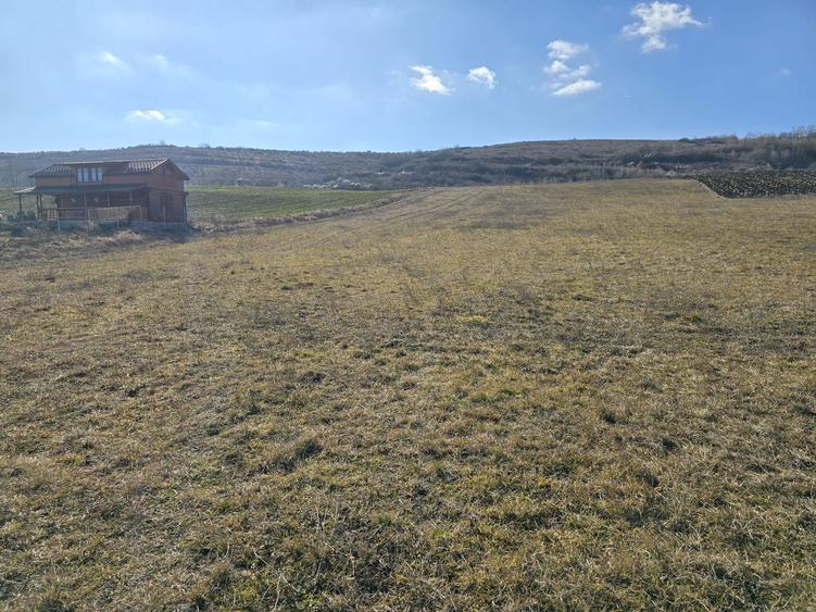Teren de 10.100 mp, zona de case, in Valea Chintaului