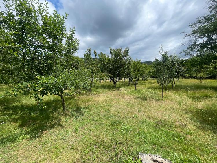 CASĂ INDIVIDUALĂ | 100 MP UTILI | 4.400 MP TEREN | PIANU DE SUS - 13