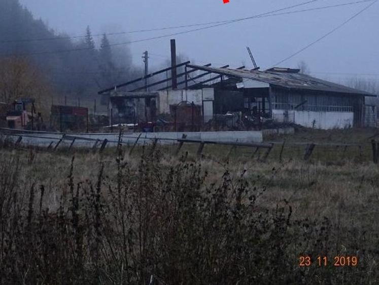 Teren intravilan 1.000 mp + hala debitare si hala prelucrare lemn