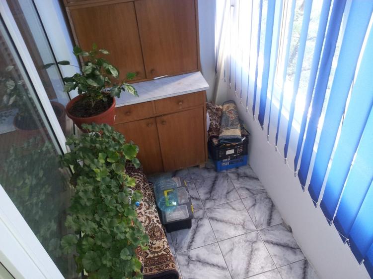 Inchiriere 3 camere Salajan