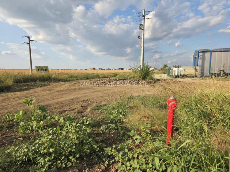 Teren intravilan &icirc;n orașul Măgurele, la limita cu Bucureștiul - 12