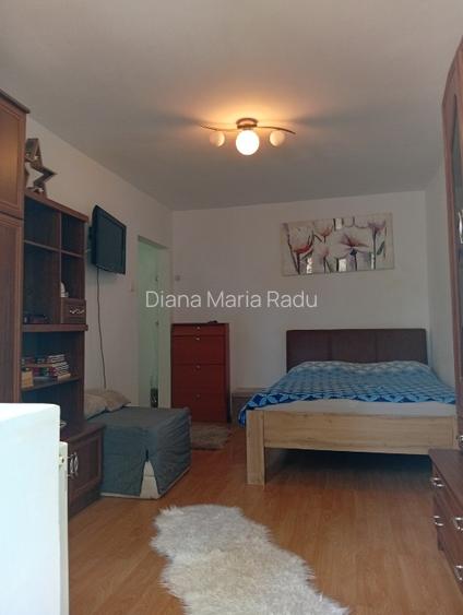 Închiriere apartament cu o camera zona Dacia Timisoara  - 2