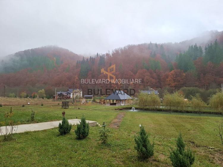 Proprietate cu potențial turistic în zona montană a Țării Lăpușului - 8