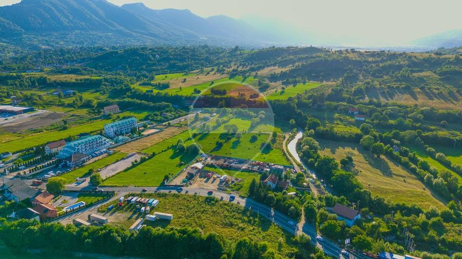 Teren intravilan 7.660 mp lângă Bran, panoramă 360°, comision 0%
