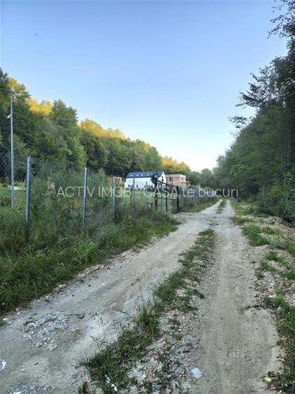Teren intravilan de vanzare in padure Cisnadioara - 14