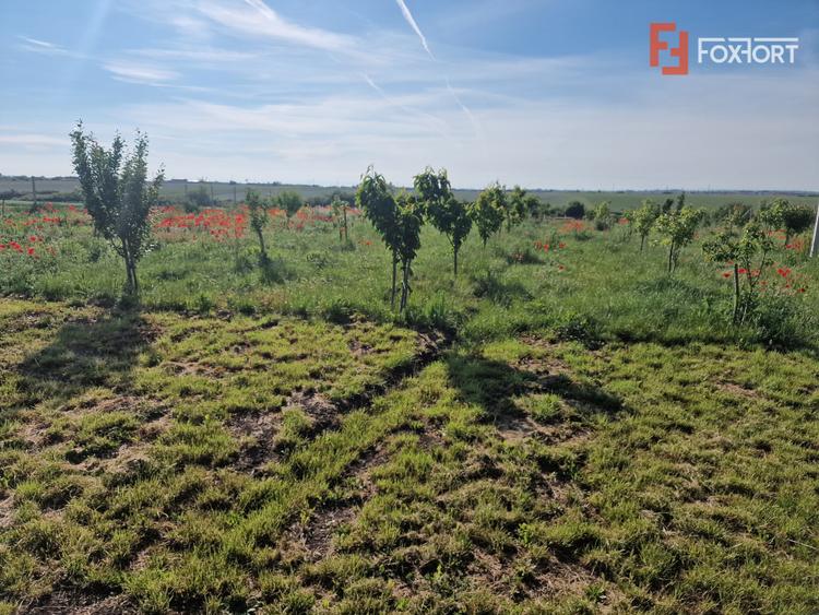 Teren extravilan de 3500 mp de vanzare in Remetea Mare