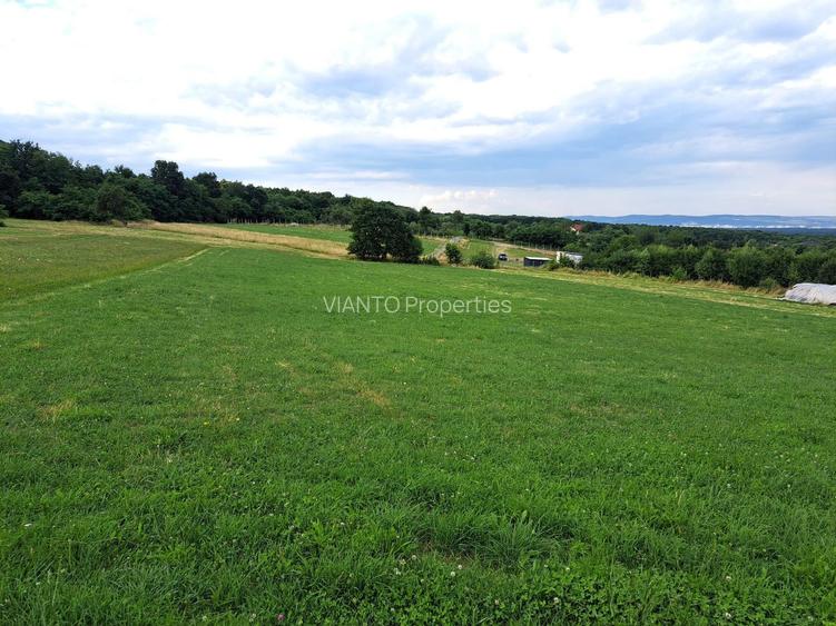 Oportunitate-Teren Extravilan 6200 mp cu vedere Panoramica-Tropinii Noi-Rasinari - 2