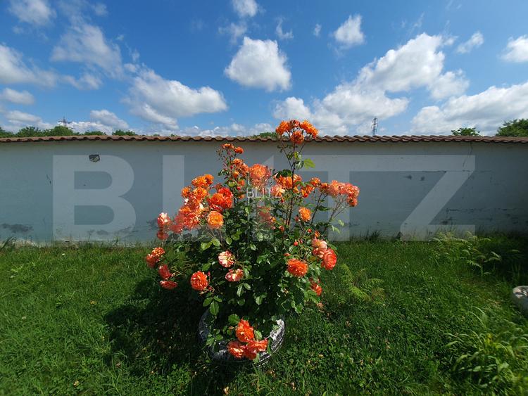 Vilă cu 5 camere, 280 mp, livadă pe rod, zona Valea Voievozilor - 10