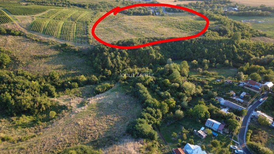 Vand teren, com. Bucov, sat Chitorani, jud. Prahova, 5.62 ha. - 7