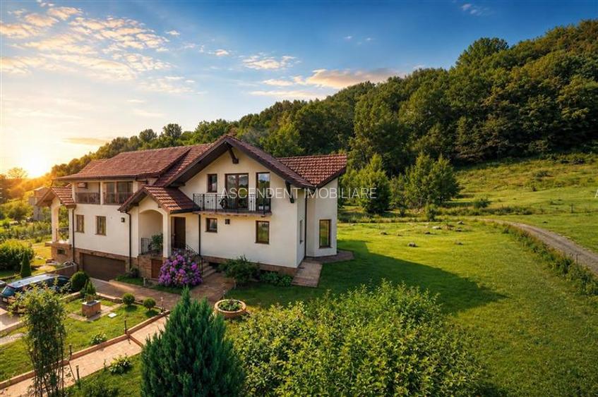 FILM! Sophisticated villa in an exclusive natural setting, Pestisu Mic, Valea Na - 4