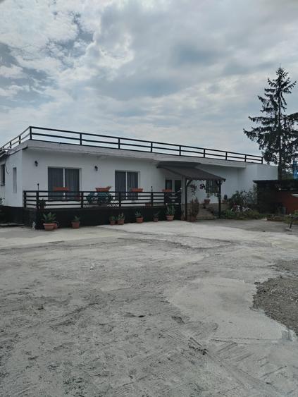 Spatiu comercial 420 mp, langa Termocentrala Mintia