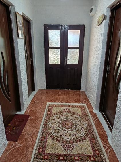 Casă de vânzare în inima Deltei
