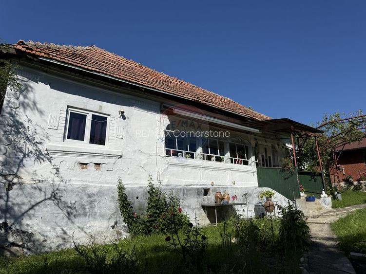Casă de vânzare in natura la tara - Mihaesti - 26