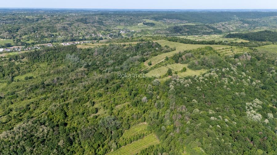 CRAMĂ PREMIUM DE VÂNZARE -60 HA- CONAC ISTORIC- PODGORIA DRĂGĂȘANI - 21