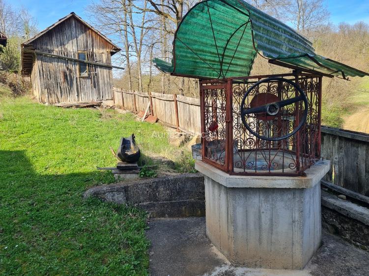 Proprietar vand casa+ teren 13000mp, Steia, Tomesti, jud. Hunedoara, 20km de Bra - 14
