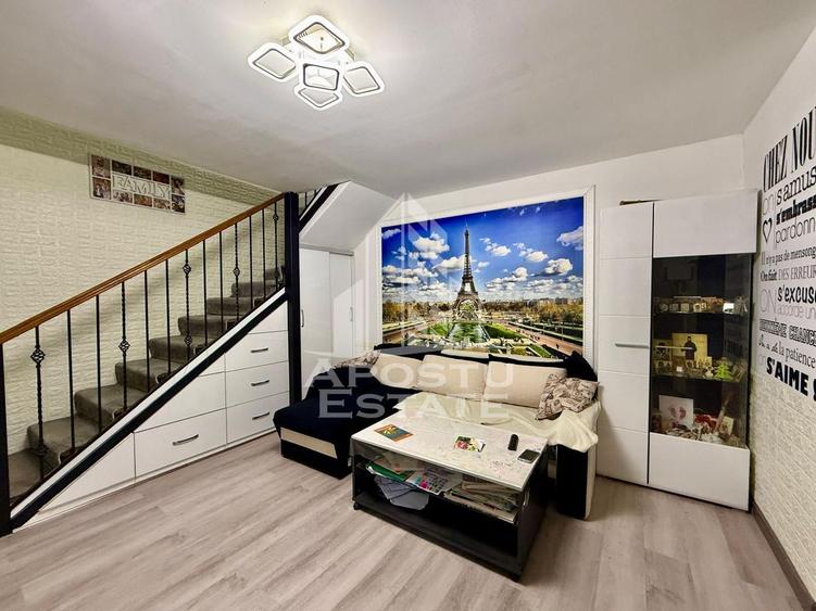 Doua apartamente la curte comuna separata, zona Timocului, Timisoata