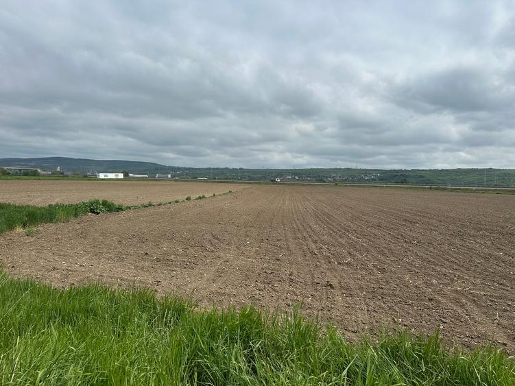 Teren extravilan 18.500 mp in Selimbar / jud. Sibiu