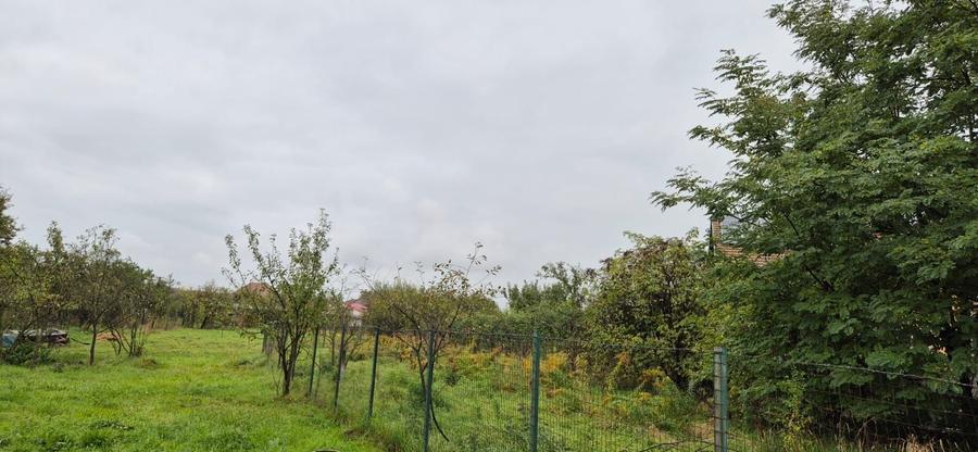 De vanzare teren intravilan - 500 mp- sat Tirimioara