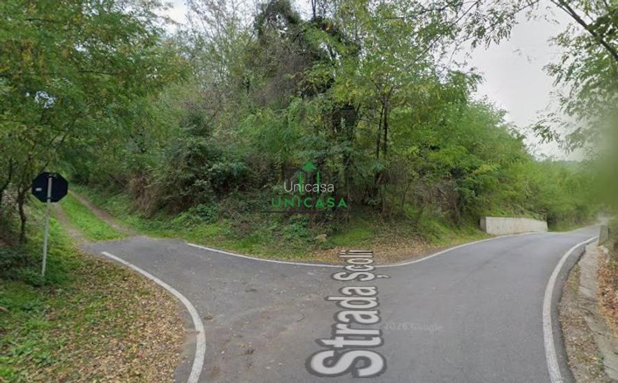 Teren 12.690 mp | 3.900 mp intravilan | Ocnele Mari- Slatioarele - 2